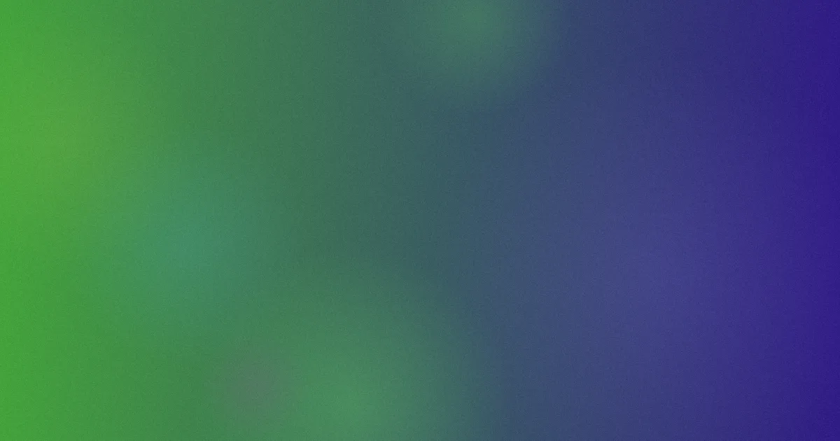 我要看毛片怎么用？实测思路